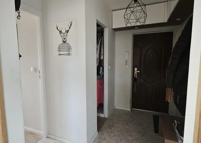 Apartament - Krasinskiego